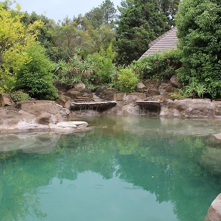 فيلا Treks, Trips And Trails Champagne Valley المظهر الخارجي الصورة