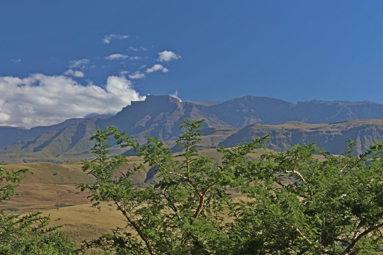 فيلا Treks, Trips And Trails Champagne Valley المظهر الخارجي الصورة